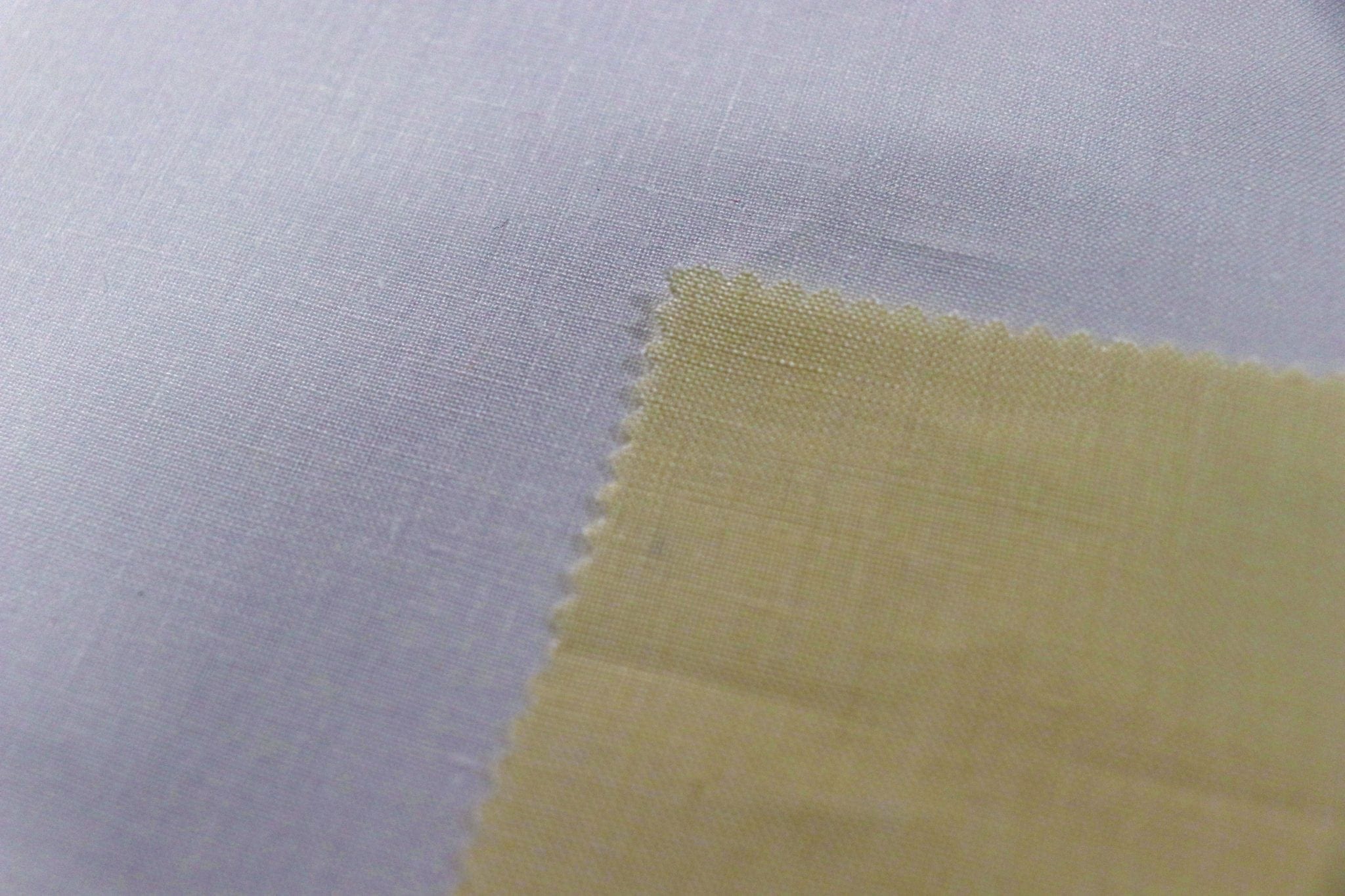 Kingston Fleur de Paris