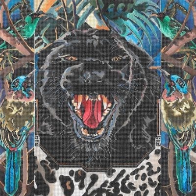 Black Leopard / Forest Birds