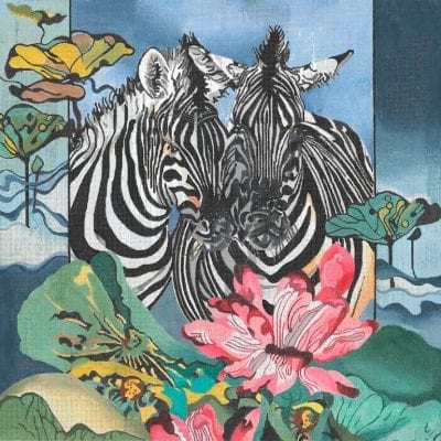 Zebras