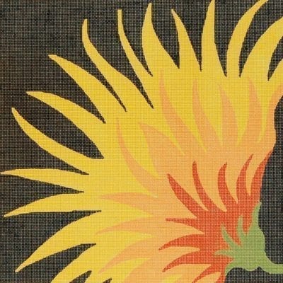 Single Zinnia - Black BG