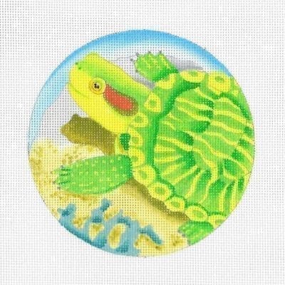 Baby Turtle
