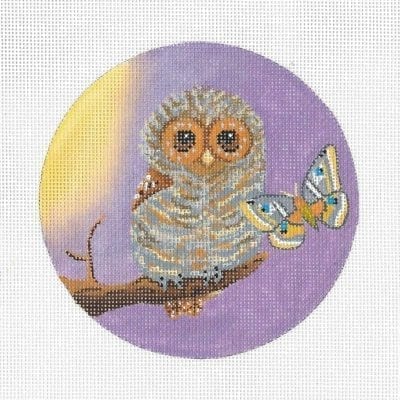 Baby Owl