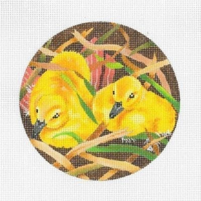 Baby Ducklings