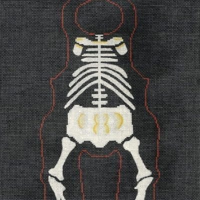 Them Bear Bones w/Bear