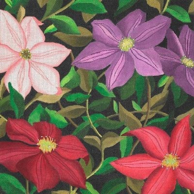 Giant Clematis Vines