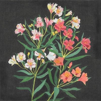 Giant Alstroemeria