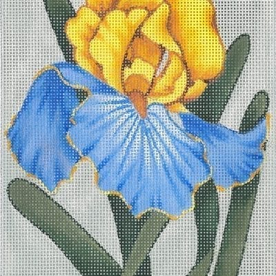 Iris