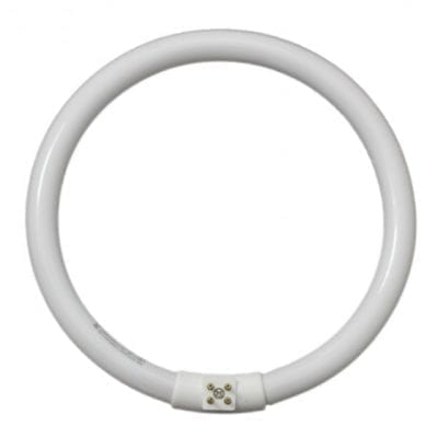 22w/T5 Energy Saving Daylight Circular Tube