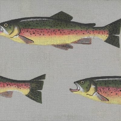 Rainbow Trout & Fly