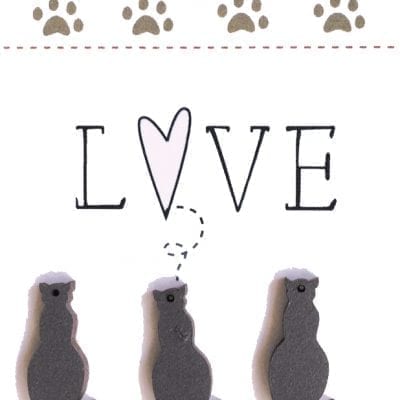Grey cats