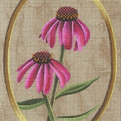 Purple Coneflower