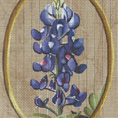 Texas Bluebonnet