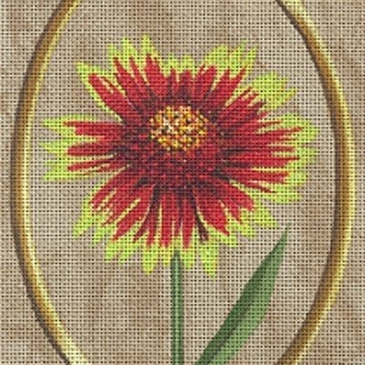Indian Blanket