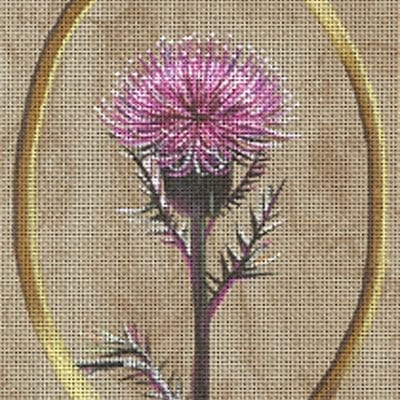 Thistle