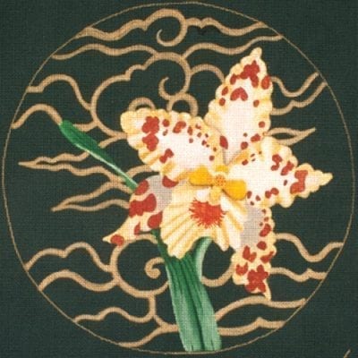 Tigersun Orchid