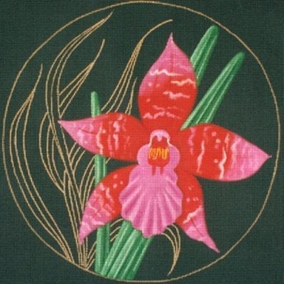 Hamburen Orchid
