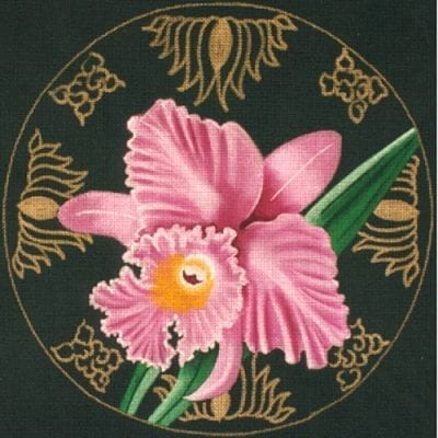Thalie Orchid
