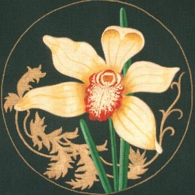 Jolity Orchid