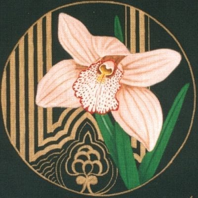 Vieux Rose Orchid