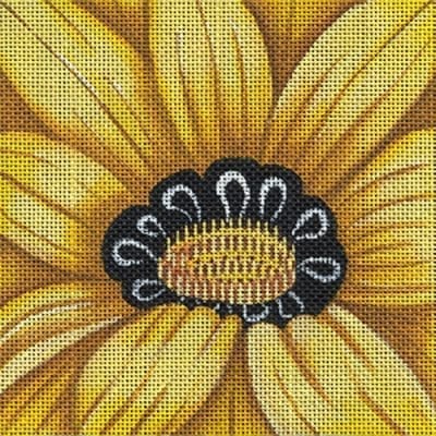 African Daisy Coaster