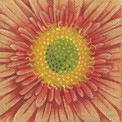Chrysanthemum Coaster