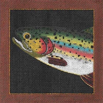 Rainbow Trout Coaster