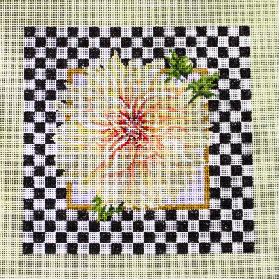 Dahlia