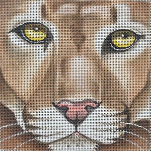 Cougar Coaster