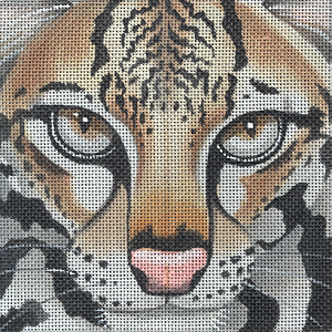 Ocelot Coaster