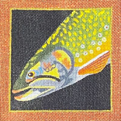 Brook Trout Coaster