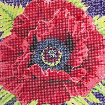 Amapola