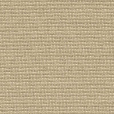 Light Mocha- 43"