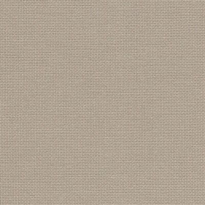 Light Taupe- 55"