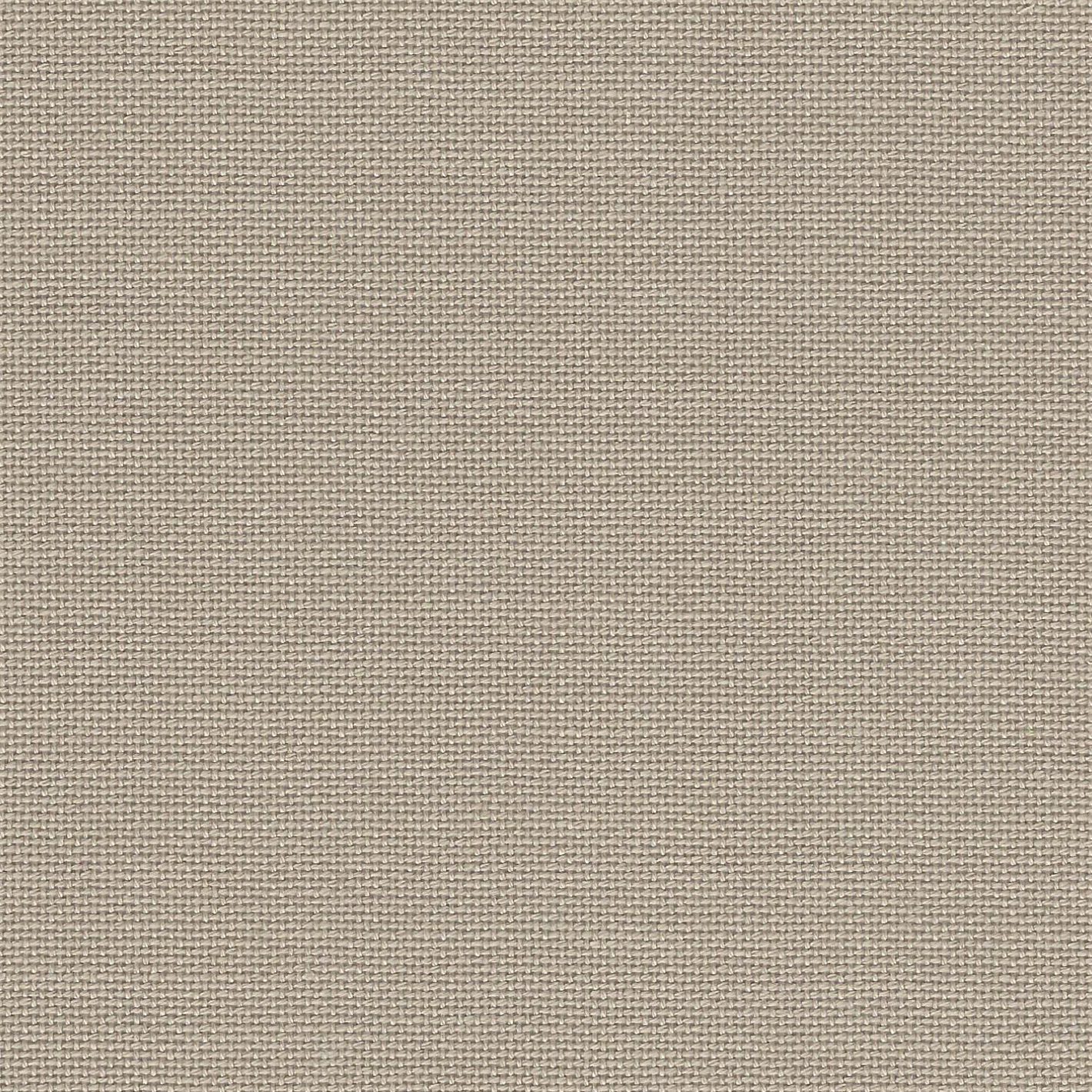 Light Taupe- 55"