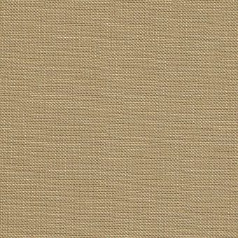 Dirty Linen- 55"